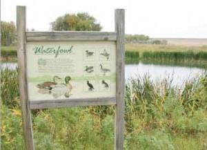 Sage BizWeb helped develop and write the Garrison Wetlands grant proposal for Powell County 